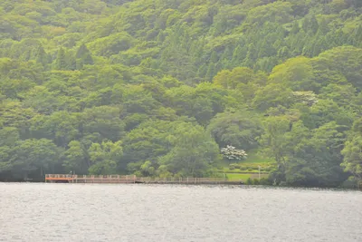 DSC_3750 (Large).JPG